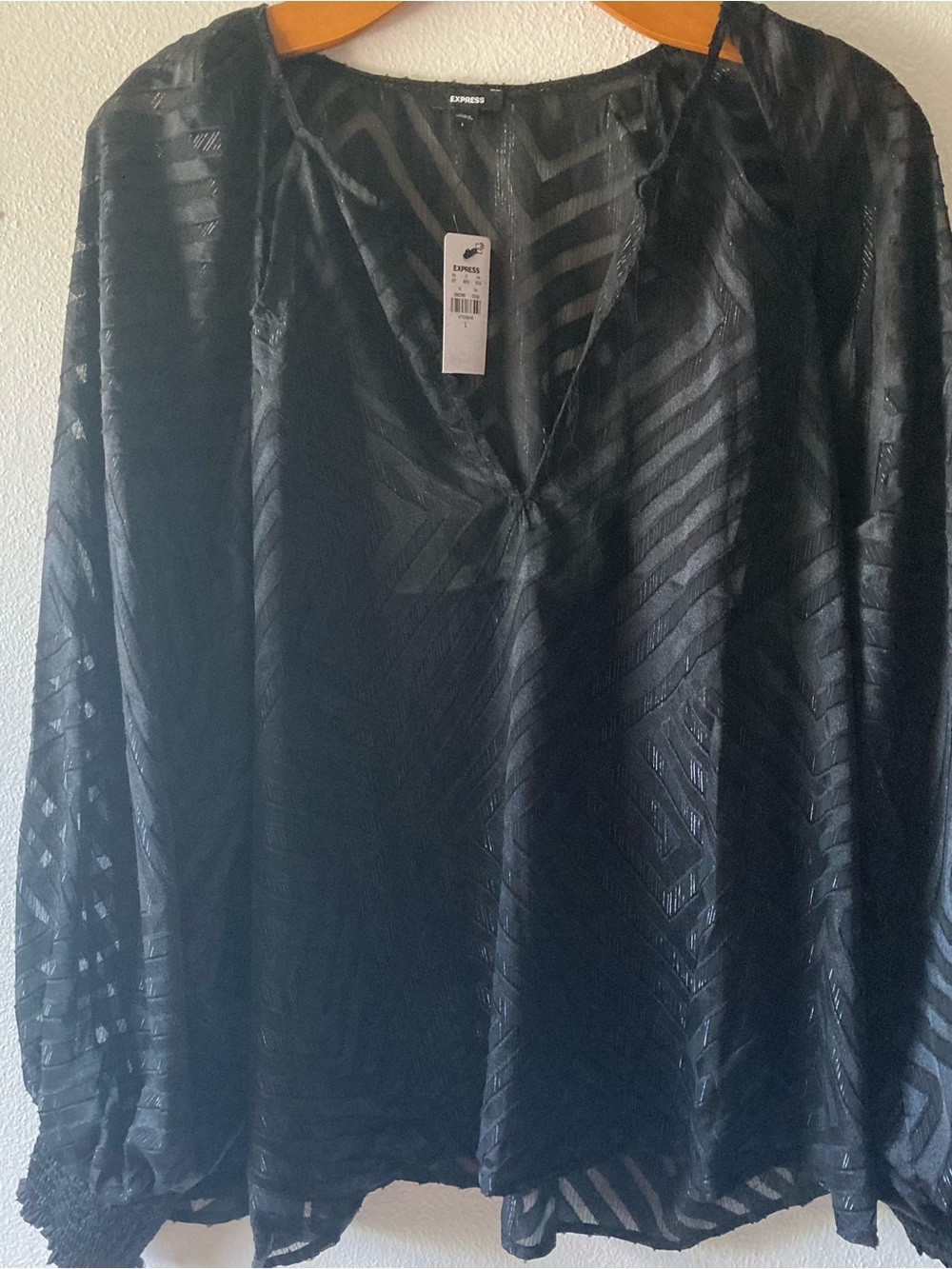 NWT Express Black Sheer V-Neck Blouse